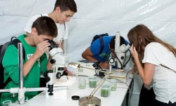 Aprendiz La Feria de la ingeniería de la UPM espera recibir la visita de más de 3.000 alumnos de la ESO