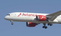 Avianca 787 N785AV morro