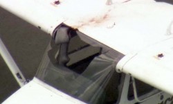 Cessna pajaro