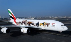 Emirates A6-EEI A380 animales Emirates operará el vuelo más corto del mundo con un A380, Dubái-Doha