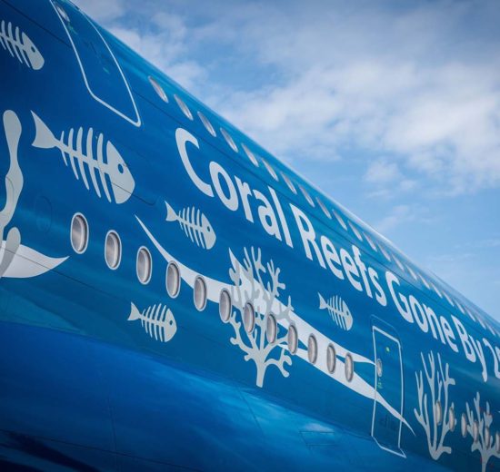 Paulo Mirpuri,, presidente de Hi Fly es el impulsor de la Fundación Mirpuri para preservar los arrecifes de coral.