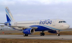 Indigo A320