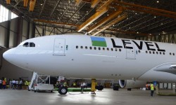 Level hangar