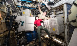 Samantha cristoforetti La astronauta Samantha Cristoforetti nos saludará mañana desde la Estación Espacial Internacional