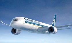 SingaporeAirlines Boeing 787 Ilustración de un Boeing 787 con colores de Singapore Airlines.