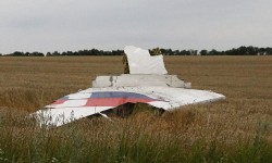 cola_MH17 La dispersión de los restos del B-777 señala claramente que el avión se partió en el aire