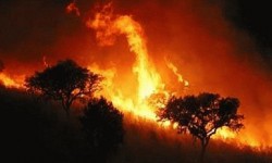incendios-forestales
