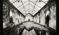 thumbnail_1er Premio fotografIa F.ENAIRE (1) Fotografía ganadora del "Premio Fotografía 2017" de Fundación ENAIRE