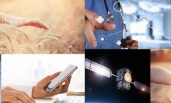 thumbnail_ACTTiVAte_sectores