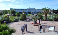 universidad europea