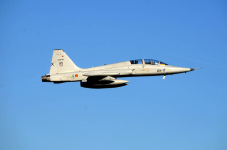 El Ejército del Aire cuenta con 19 F-5B (AE.9 para ellos).