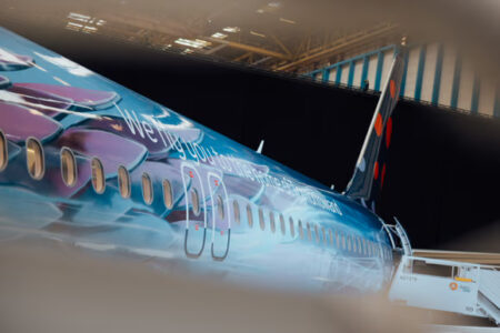 Detalle de la decoración exterior del Airbus A320neo  OO-SNB de Brussels Airlines.
