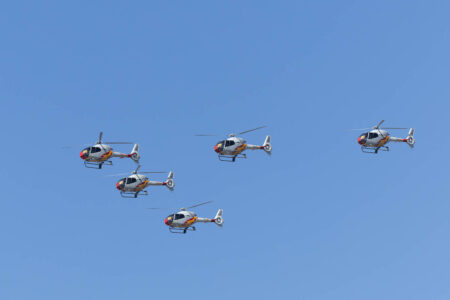 La Partrulla Aspa participará en los actos del Día de las Fuerzas Armadas 2025.