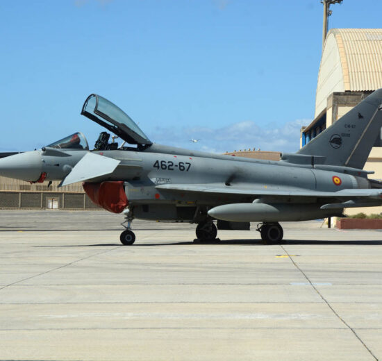 Uno de los cuatro Eurofighter que ya lucen los emblemas del Ala 46.