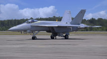 El primer BoeingF/A-18E para los Blue Angels todavía con la pintura estándar de la US Navy.