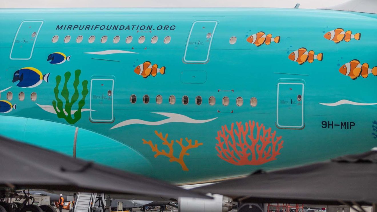 Hi Fly ha decorado el lateral izquierdo con imágenes de corales y peces típicos de ellos como los payaso, más conocidos por muchos cono Nemo.