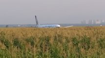 El A321 fotografiado en el campo de maiz por uno de los pasajeros que iban a bordo.