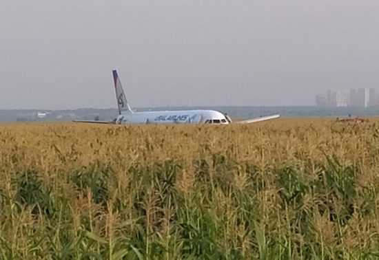 El A321 fotografiado en el campo de maiz por uno de los pasajeros que iban a bordo.