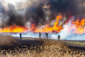 Bomberos frente a un incendio forestal.