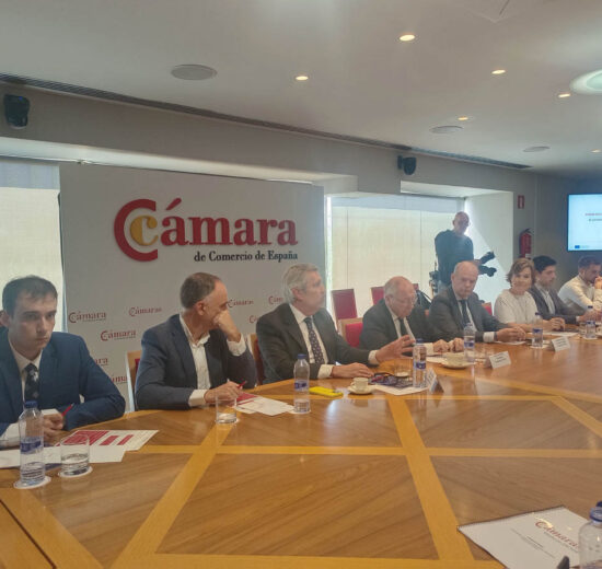 Presentación de INCYTE con directivos de la misma y representantes de empresas de sus incubadoras.