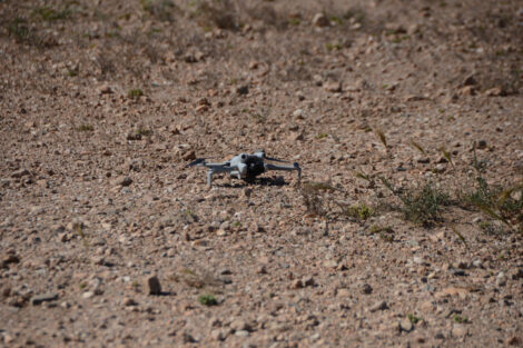 No, no es un insecto, es un micro UAV esperando sobre el terreno a cumplir su misión.